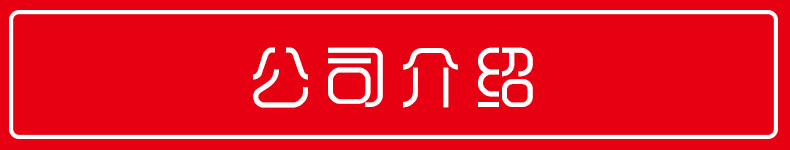 公司介绍