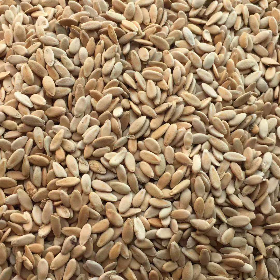 Low Temperature Roasted Muskmelon Seeds Xiang Gua Zi 500g Edible Seed Snack and Grinding Ingredient quality and texture