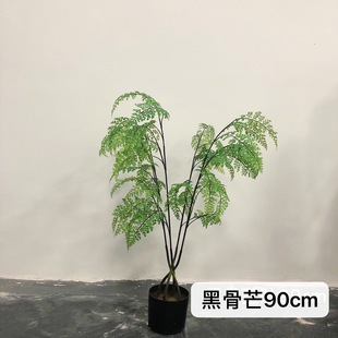 ֲ����~ins�Ҿ��b�Ʒ�ڹ�â��~�����~�����ՔzӰ���߷���Gֲ