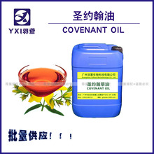 圣约翰草油 St.John Oil 基础油  精油  舒缓 放松