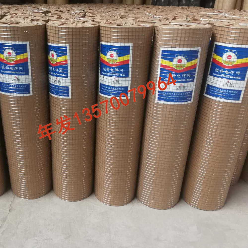广州厂家批发建筑外墙保温电焊网抹墙镀锌批灰钢丝网加固铁丝网