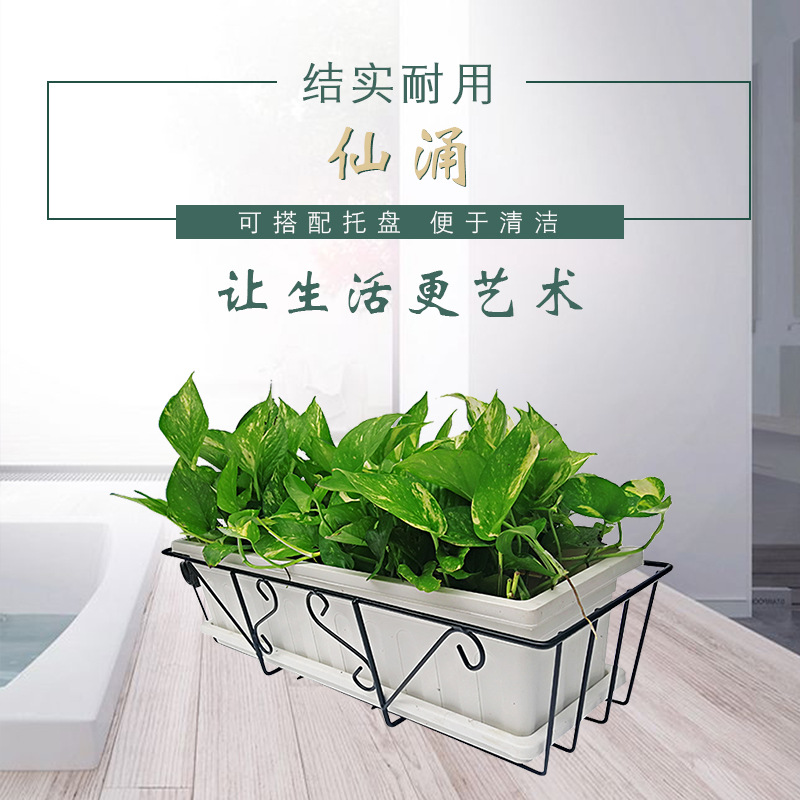 挂式花盆 绿化隔离花盆花箱 多种规格先涌花盆 厂家直销塑料花盆