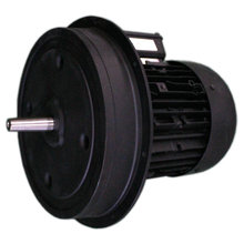 W-D132/210-2/12K0(ԭD132/150-2) 12kW weishaupt늙CG/RL/RMS11