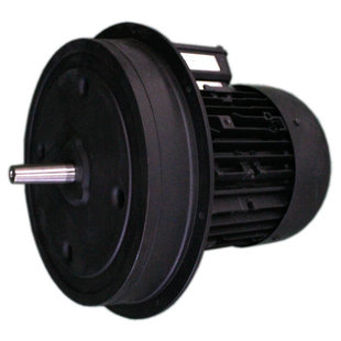 W-D132/210-2/12K0(ԭD132/150-2) 12kW weishaupt늙CG/RL/RMS11