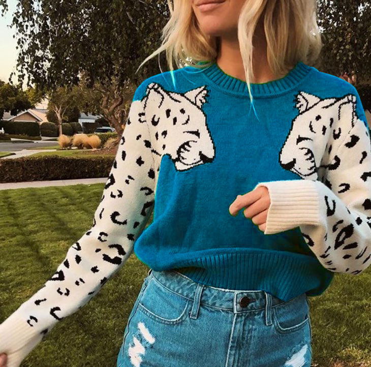 Women's Sweater Long Sleeve Sweaters & Cardigans Rib-knit Hollow Out Fashion Color Block Leopard display picture 4