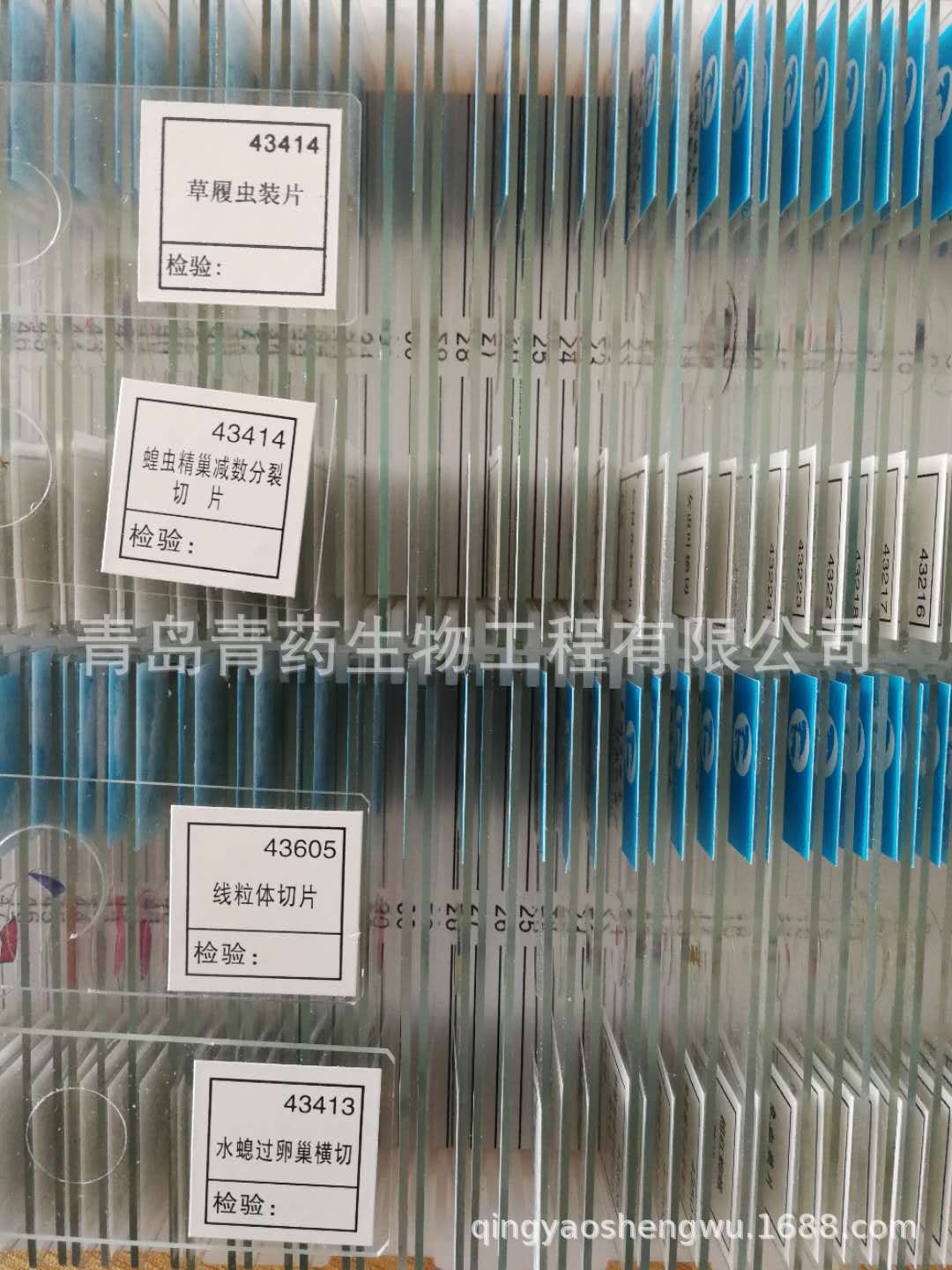 100Ƭ������Ƭ��������΢���걾ʵ�鲣Ƭ����װƬϸ���ز�Ƭ��ҩ