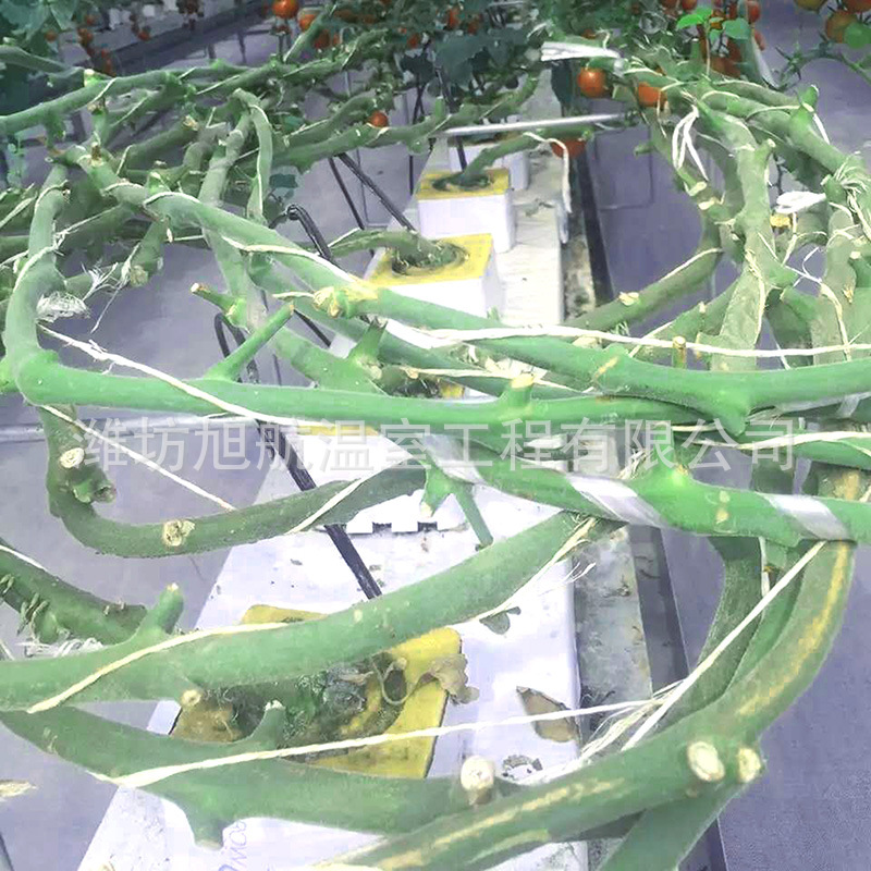 74d0559b378b3bf3a71b1183ff5d2e