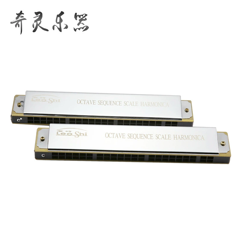 HLIO SHI old time 22-hole accent harmonica performance grade harmonica factory wholesale supply