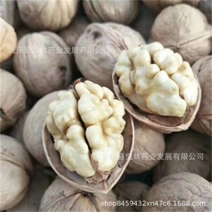 ���l2023����؛�½��خa�����K����185��Ƥ���Ҽ�Ƥɢ�b����һ��