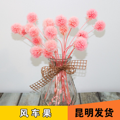 风车果永生干花花束插花客厅餐桌假花整体花艺摆设家居装饰品摆件
