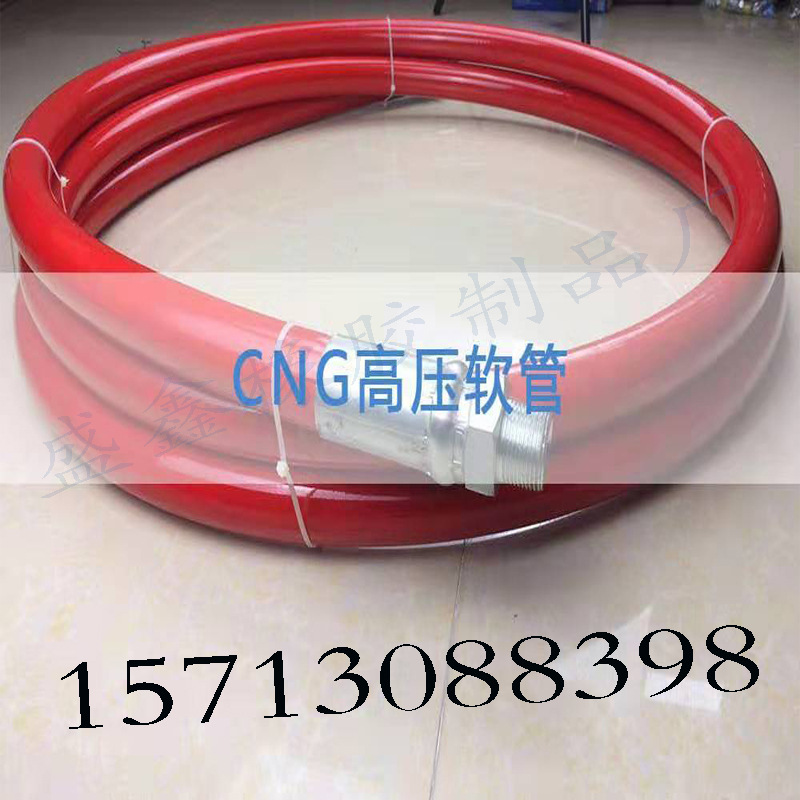 CNG天然气高压钢丝软管高压管卸车天然气管加气站管高压树脂管