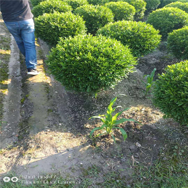 微信图片_20190924001126