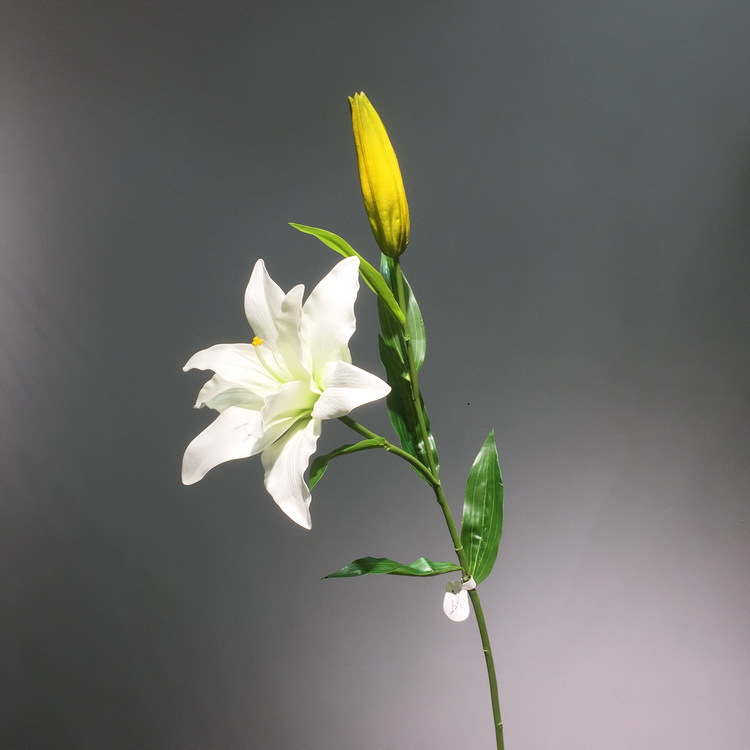 2-2白色百合.JPG