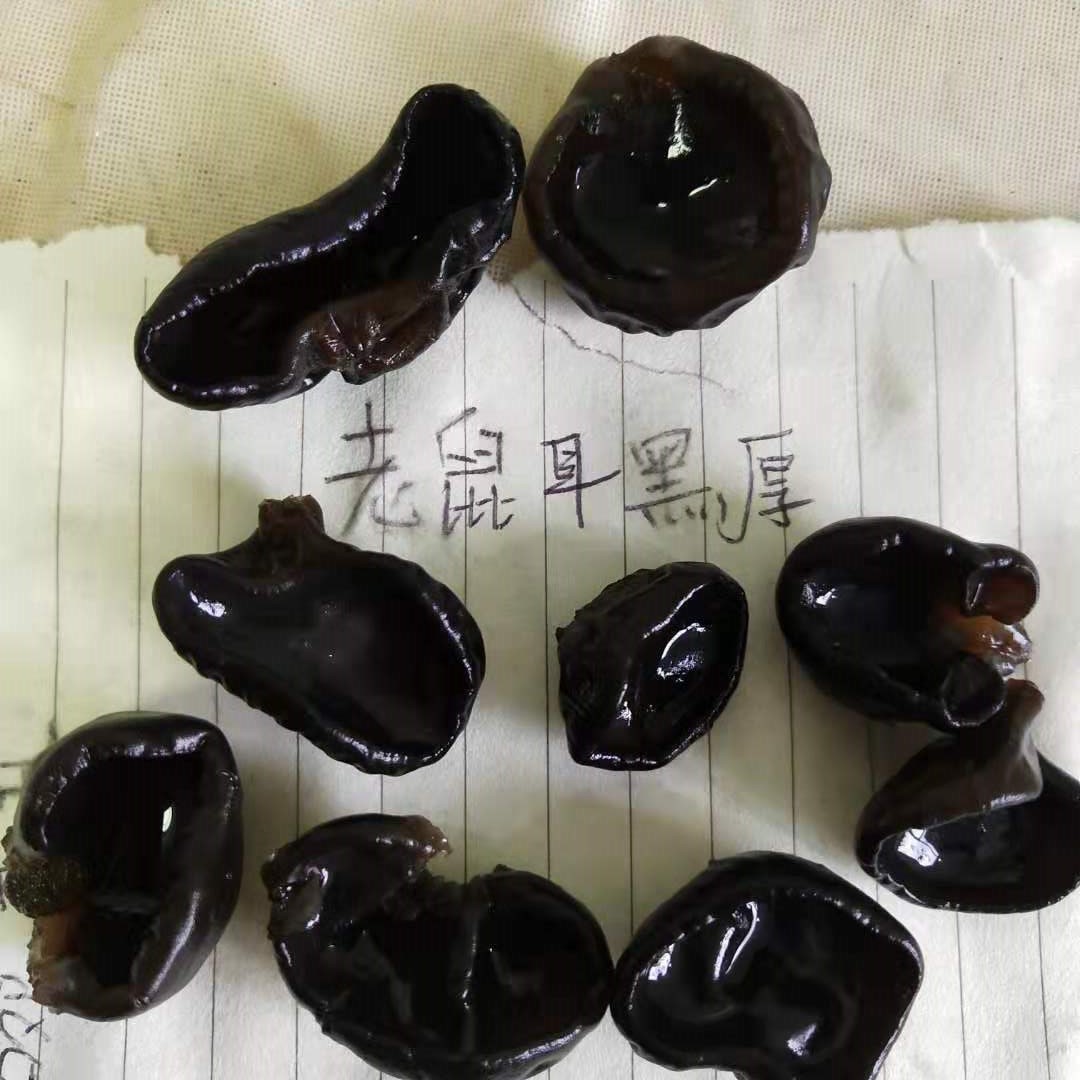 Dried Black Wood Ear Mushroom Small Bowl Grade Autumn Harvest 250g quality and texture