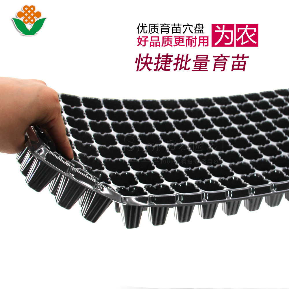 Seedling tray Vegetables granulation Seedlings Flat plate Nonporous Forest thickening transparent grow seedlings Acupoint disk Manufactor Produce Acupoint disk