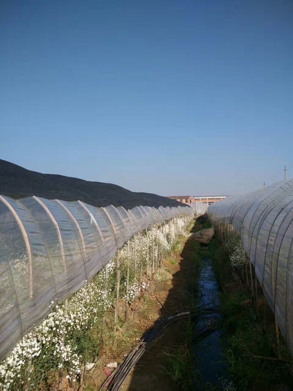 QQ图片20190626225120