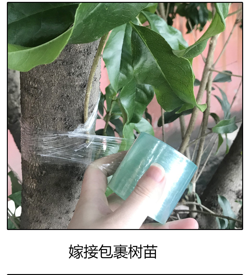 Quick delivery PVC wire film Green transparent self-adhesive packaging grafting film coating 3/5/6/8/10CM wholesale