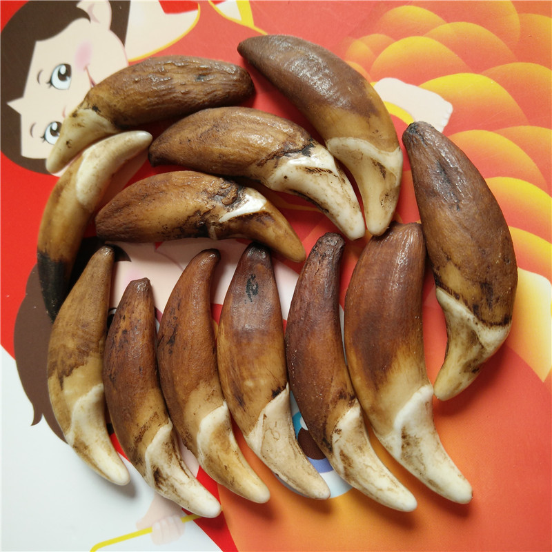 微信图片_20190429205057_副本