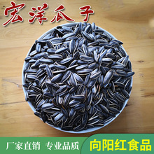 宏洋生脆瓜子30斤 大颗粒葵花籽 袋装休闲零食炒货瓜子厂家销售