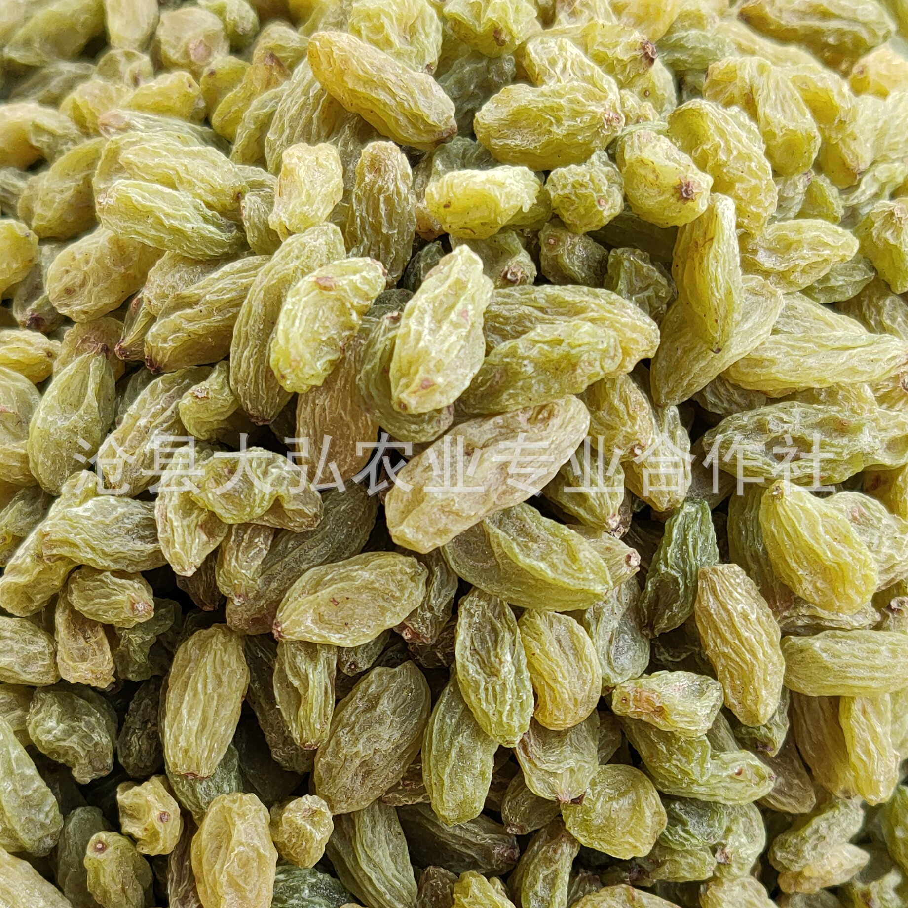 新疆绿葡萄干 吐鲁番休闲零食 大个绿提子干果 散装工厂直供