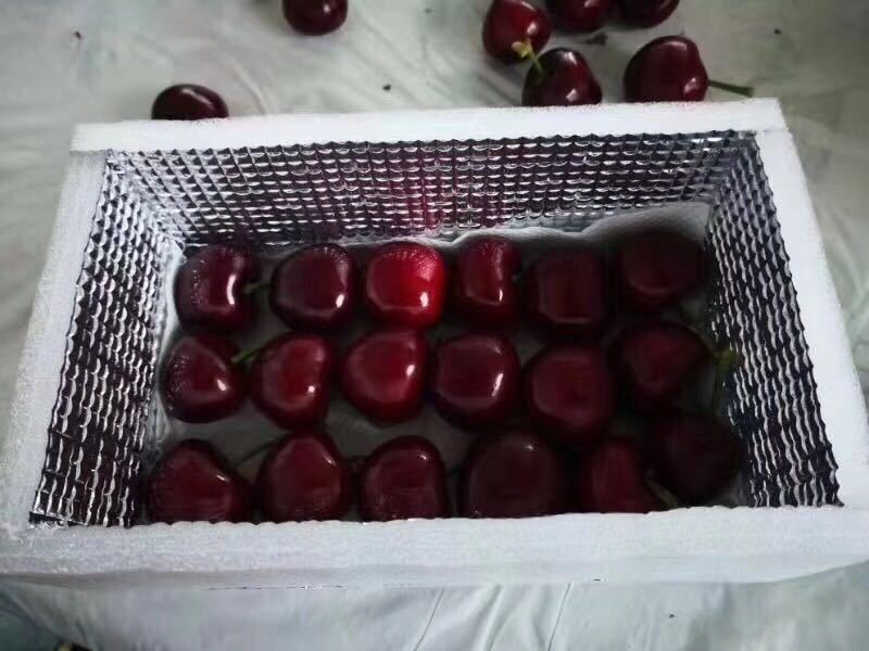 微信图片_201903211115564