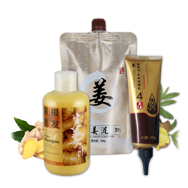 Manufactor customized Wash and care suit shampoo hair conditioner Ginger Anti off refreshing moist Supple Shampoo wholesale
