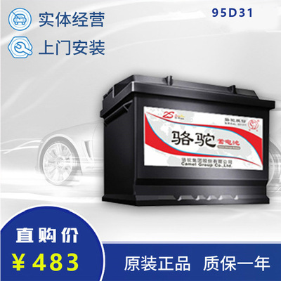 Camel brand Battery Pickup truck Forklift Tractor Start Battery 12V85AH 95D31L