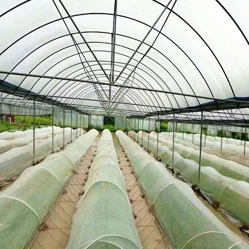 交织20目果树蔬菜大棚防虫网罩  加工农业温室专用纯原料抗老化