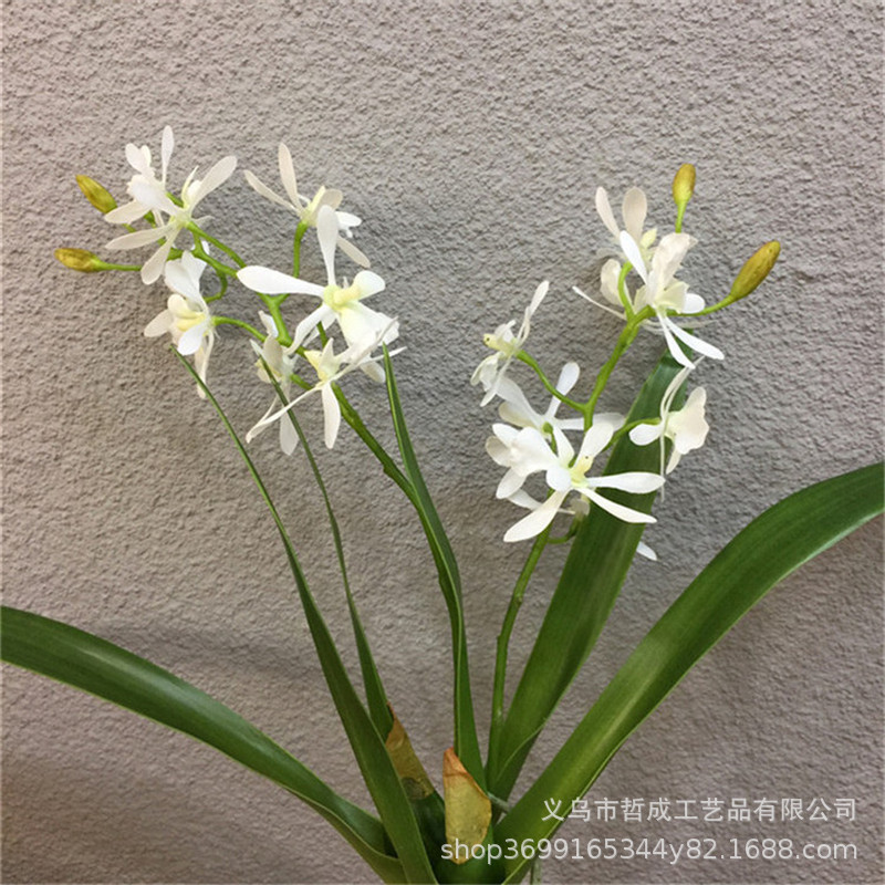 O1CN01wOZTxR2L9IBwZBhjB_!!6834