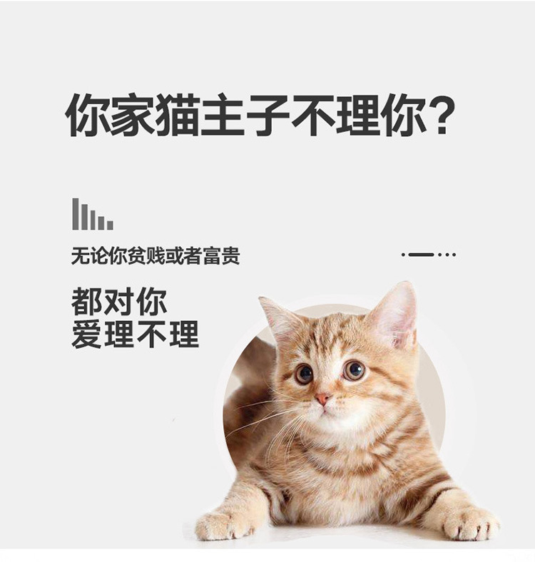 猫爪手电筒 多功能手电 激光逗猫紫光检测白光照明便携小手电批发详情4