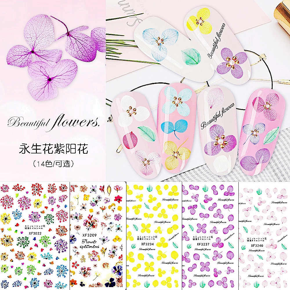 i2 XifKkz9SEOZkhuDrmzU3ITV6LujTPb93x