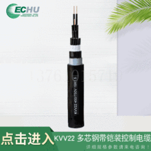 KVV22 о䓎zb| PPo_ PVCo