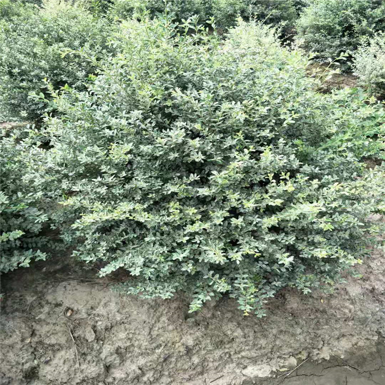 微信图片_20190924001034