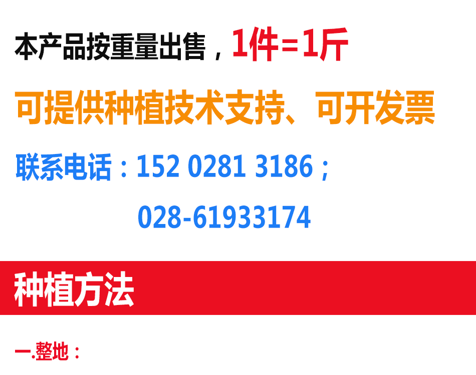 花种详情2_01