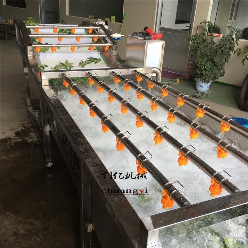 食品加工厂用蔬菜清洗机 上海青清洗机 厂家直供洋葱大葱清洗机