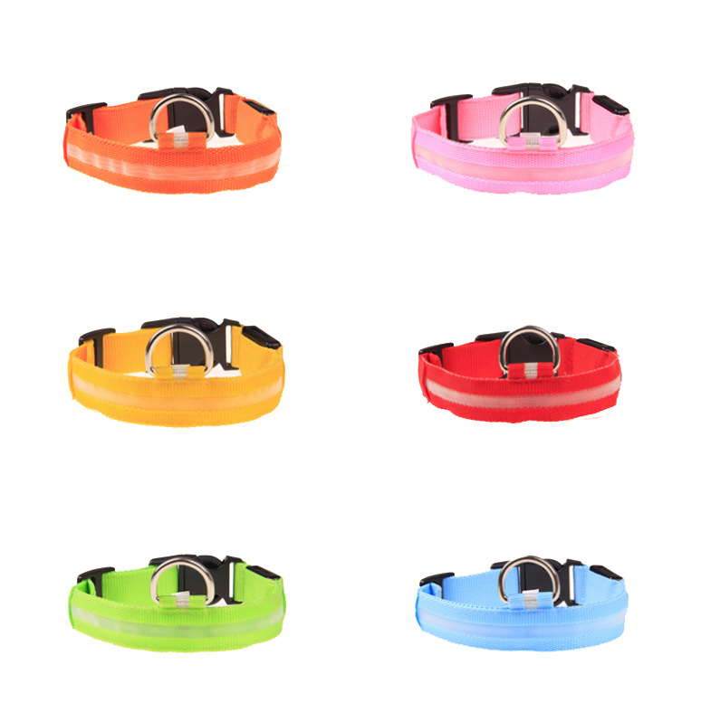 Dog lighting item Teddy Golden Mao