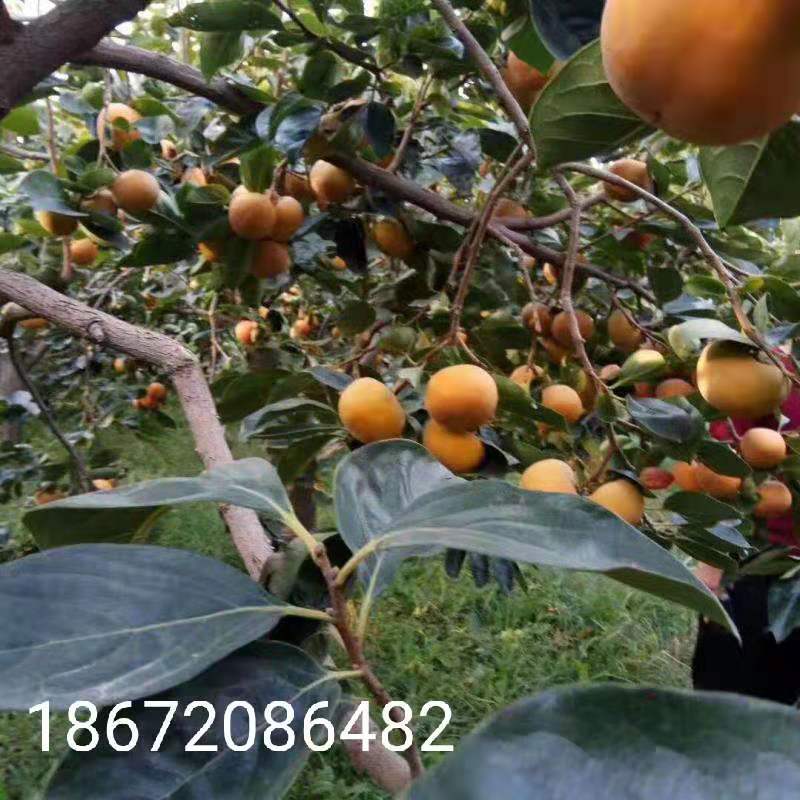 微信图片_20190930201719