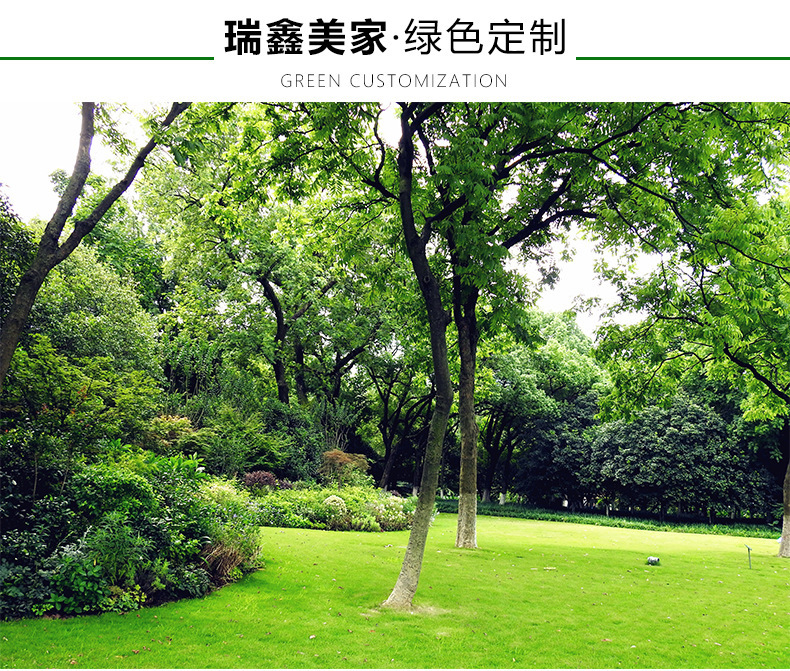 12652093463_1446776804