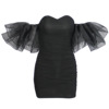 Sexy nightclub style pleated bubble sleeve group women’s mesh dress