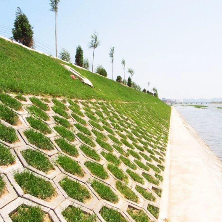 Семена Газона Семена Райграсса Многолетние Защита Склона Семена Высокие Овсяная Семена Поа