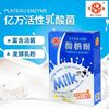 酸奶粉240g 富含活性乳酸菌 无需发酵 即冲即饮|ru