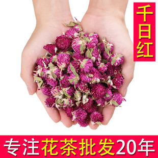 千日紅圖片 海量高清千日紅圖片大全 阿里巴巴