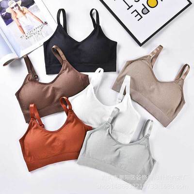 網紅小熊抹胸無縫日本原單無鋼圈帶胸墊吊帶裹胸式運動胸罩背心