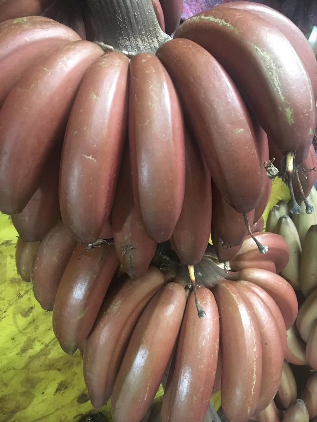 红皮香蕉 福建漳州红美人蕉新鲜水果 一件代发-阿里巴巴