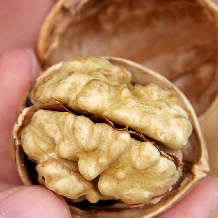 微信图片_20190529205244_副本