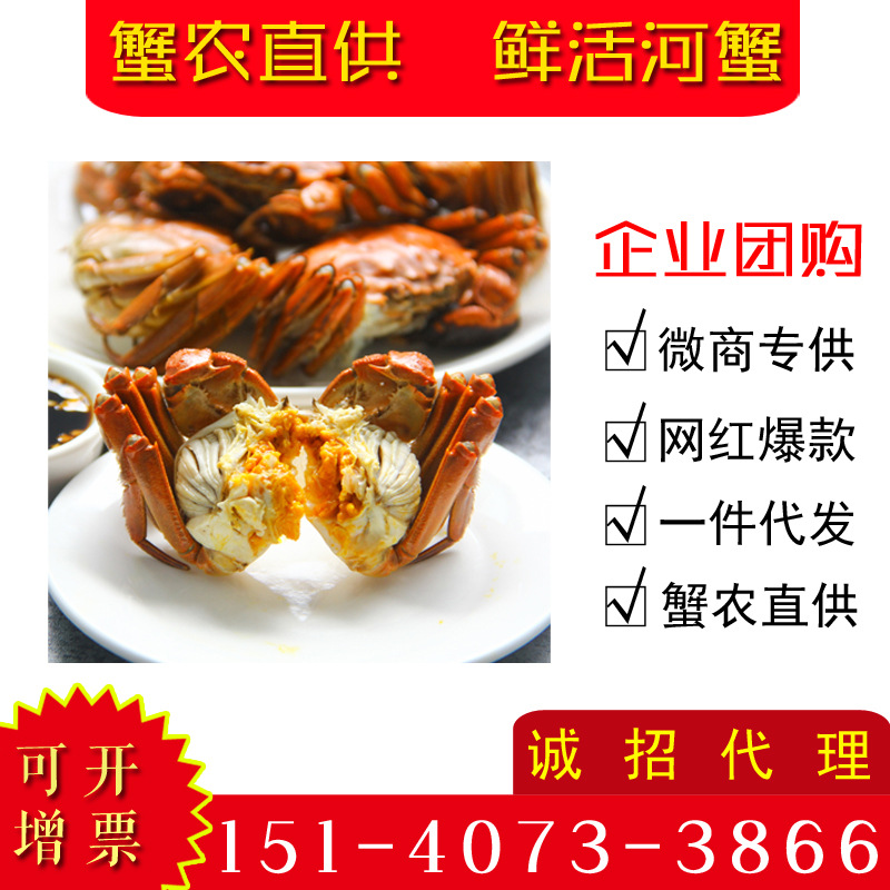盤錦大閘蟹老頭蟹鮮活兩元三元小蟹香辣蟹毛蟹小河蟹小螃蟹批發
