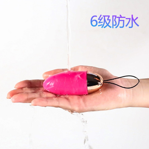 Lailemomo Egg Women's USB Charging Vibrator Wireless Frequency Converter Wearable Masturbator Women's Sex Toys Wholesale