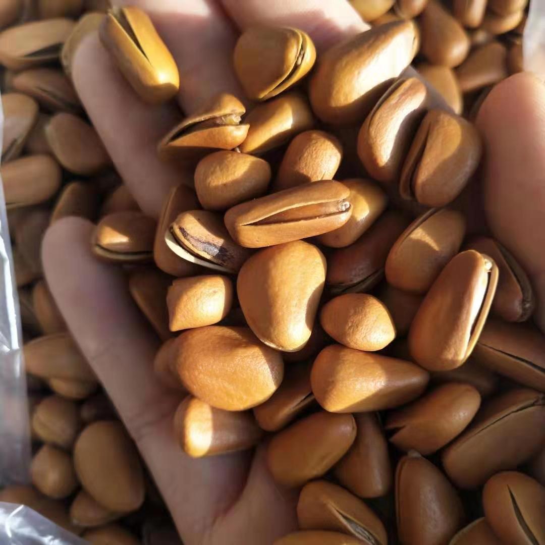 微信图片_20190925151107