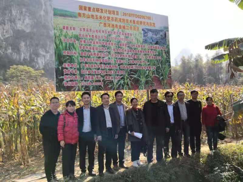 23fe886fddf440adc24209339285b9