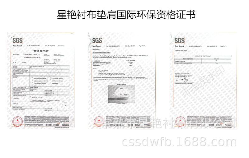 星艳垫肩国际证书.jpg